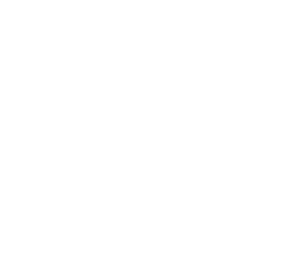 S&K Brusselsコンサルティング